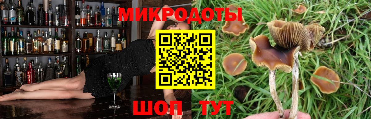 Псилоцибиновые грибы GOLDEN TEACHER  Вход с VPN  Старая Купавна 